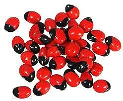 GOSIDDHI Red Gunja | Lal chirmi | Gunja Beads | Chirmi ke Beej | Red chirmi Seed